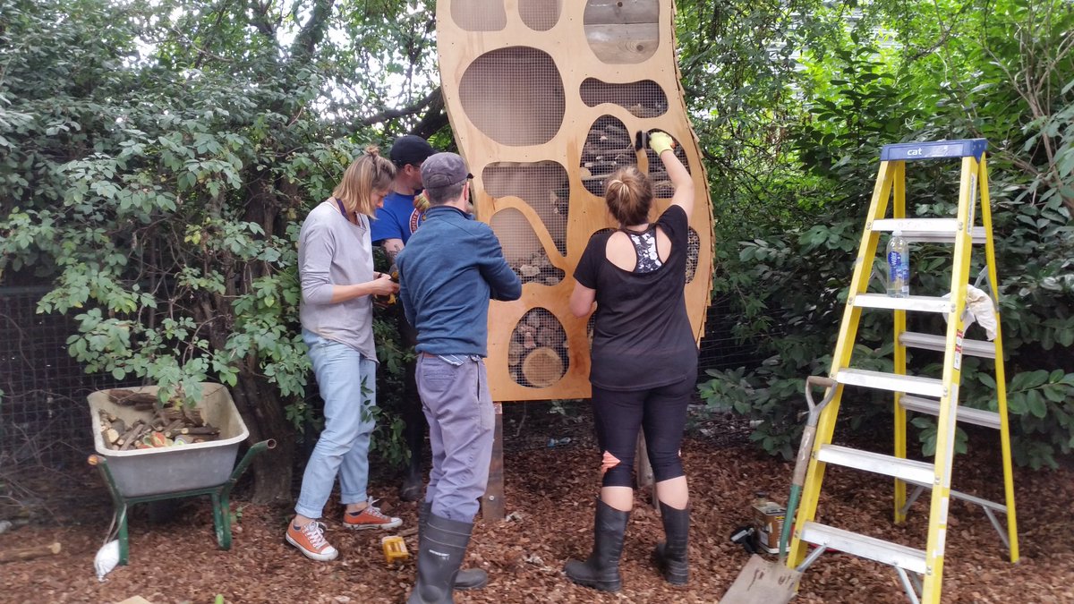 CodyDock's tweet photo. So rewarding,  job done. thanks to #starprimary #Unionroasted for making #wildaboutthecrescent #growwild #greeninggreybritain https://t.co/QnWnjJ6L6c