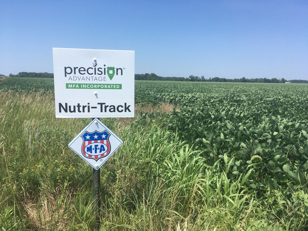 Davin Harms tweet media