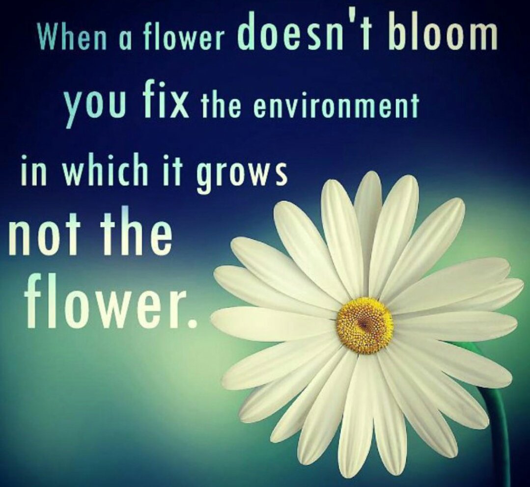 MikeArmiger's tweet photo. Too often we try to fix a child. Sometimes it's adults who have to change. https://t.co/baXBcDroaD