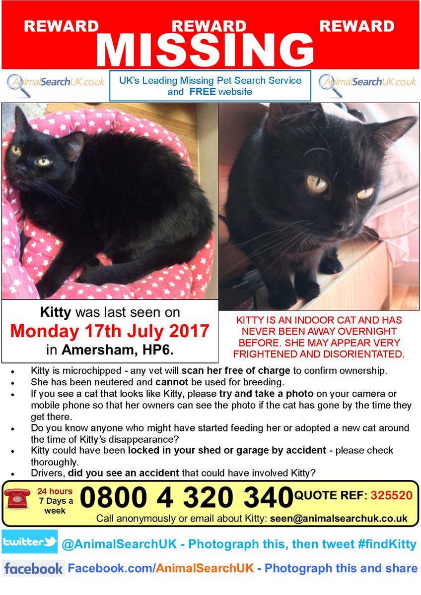 AnimalSearchUK's tweet photo. PLZ RT @AandConline @bucks_herald @bucksfreepress #MISSINGCAT #AMERSHAM #BUCKS #hp6 #FINDKITTY
https://t.co/G1BNr4ILvJ https://t.co/nCr5qBw4PE