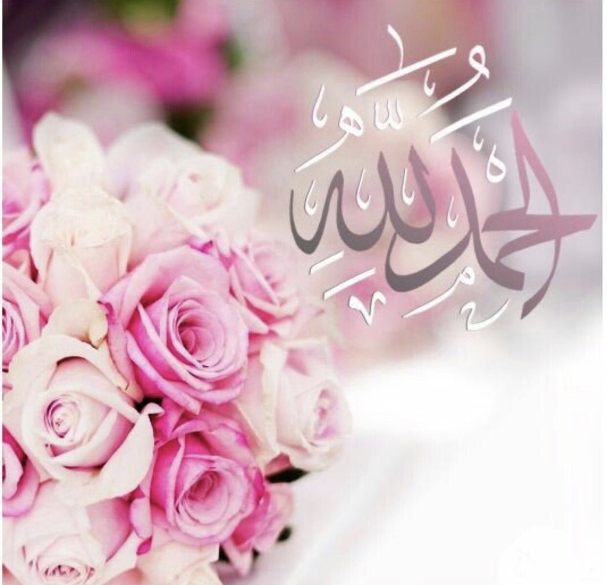 Queen_bibi_'s tweet photo. https://t.co/qPRUUStnkx