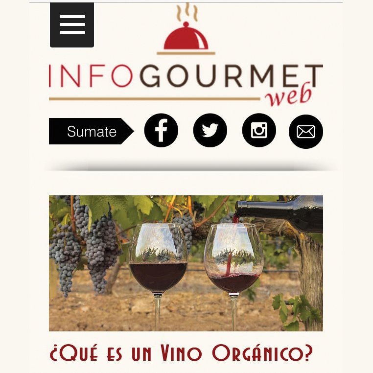 VINOorganico's tweet photo. 🍷 @INFOgourmetok Te invita a conocer los vinos orgánicos. Nosotros, te invitamos a probarlos https://t.co/ywigbsMveZ https://t.co/rflQIMHYwZ