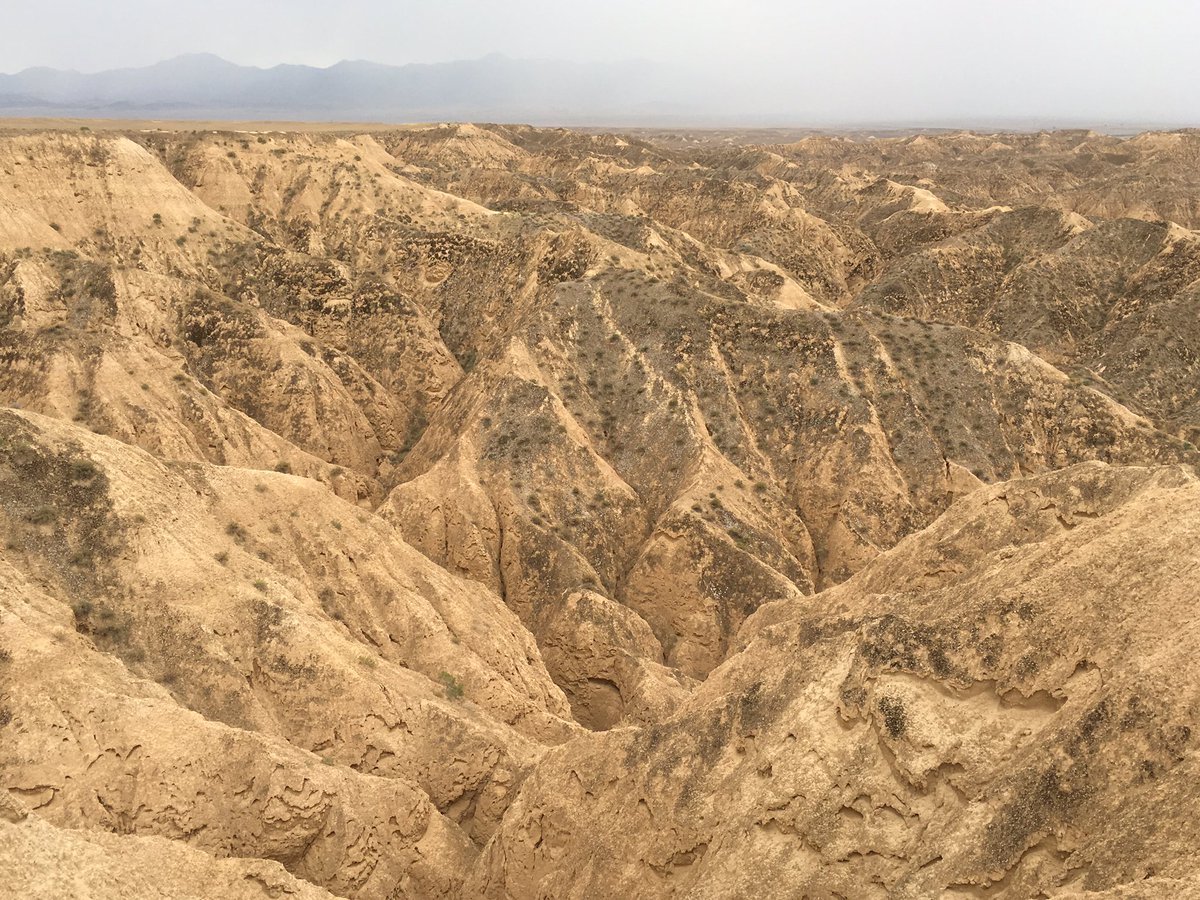lonelyplanet's tweet photo. MT @ACKaminski: The many landscapes of #Charyn #canyon in southern #Kazakhstan. #LPinCentralAsia https://t.co/Axt31IVFkY
