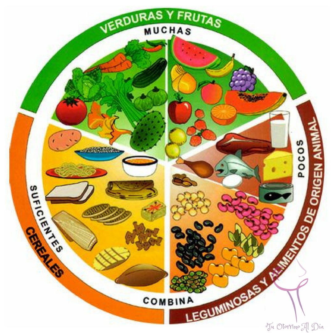 tuotorrinoaldia's tweet photo. Te muestro la distribución de alimentos que debe tener nuestro plato de comida https://t.co/yQyPhIlaTQ