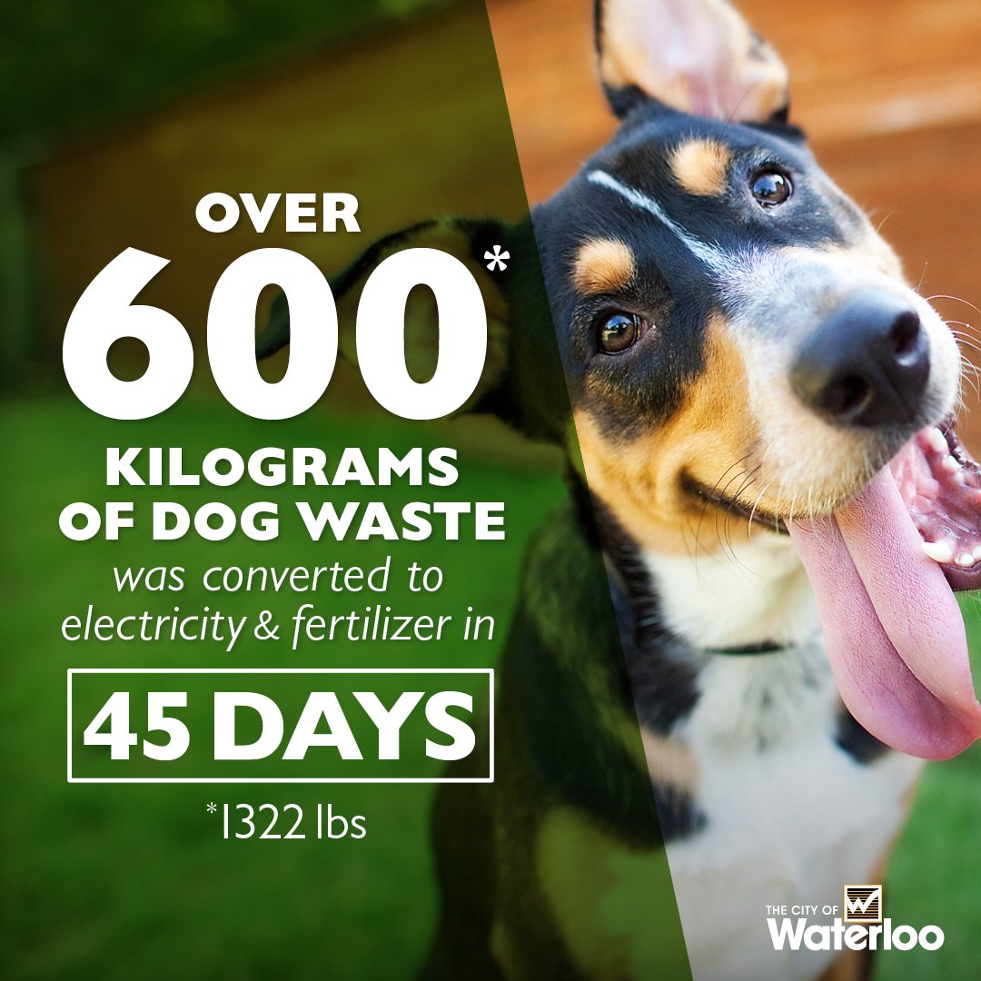 citywaterloo's tweet photo. 💩▶️💡 results so far:

- 600kg of dog waste collected
- 13kg collected/day
- .06 tonnes of greenhouse gases diverted from atmosphere https://t.co/yhMi71AVoA
