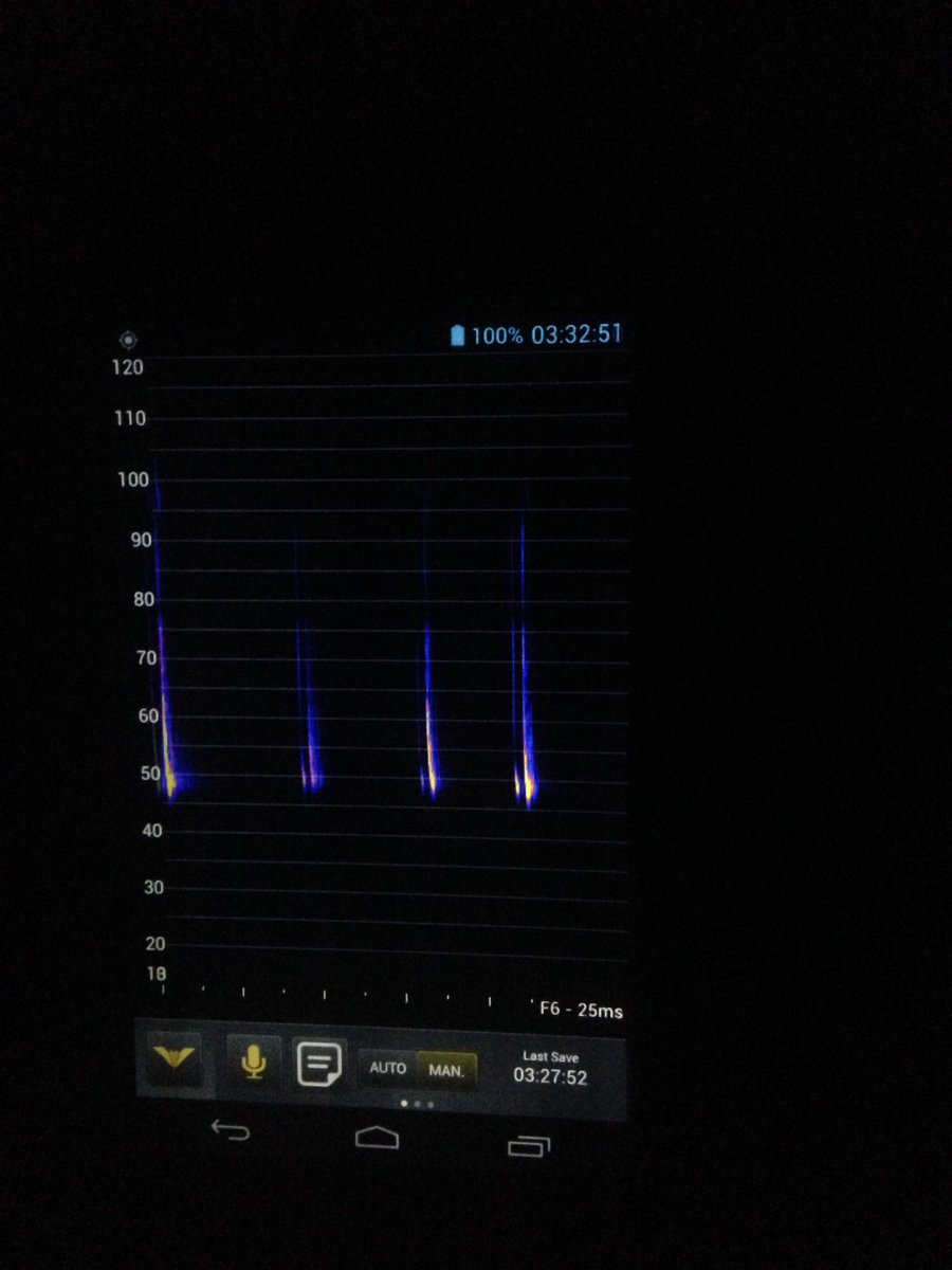 L0tt4i's tweet photo. #Dawn #bat #survey #today. No #reentry used #anabat #walkabout #detector #Precologist #ecologist #ecology @whartonarb #surveyseason @_BCT_ https://t.co/tfrylogIr2