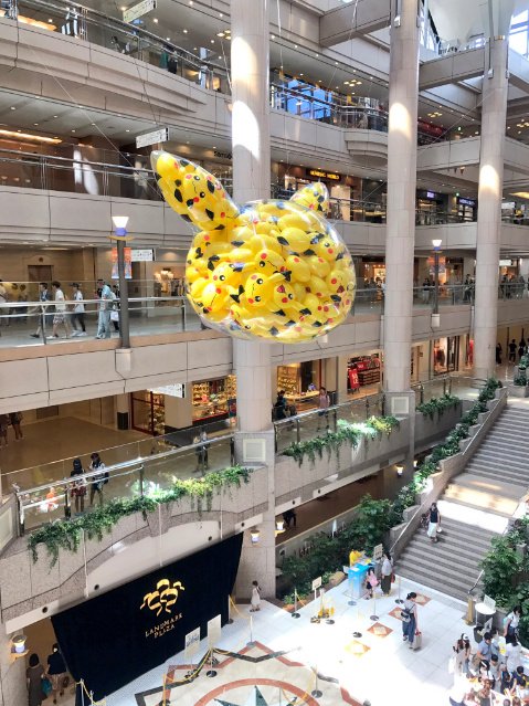 UNINN_Student's tweet photo. What on earth did I see? #pikachu #pokemon https://t.co/xviPIdFLrx