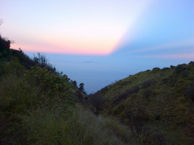 EkoDcs tweet picture