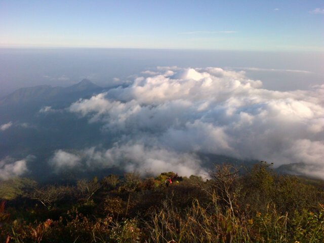 EkoDcs tweet picture