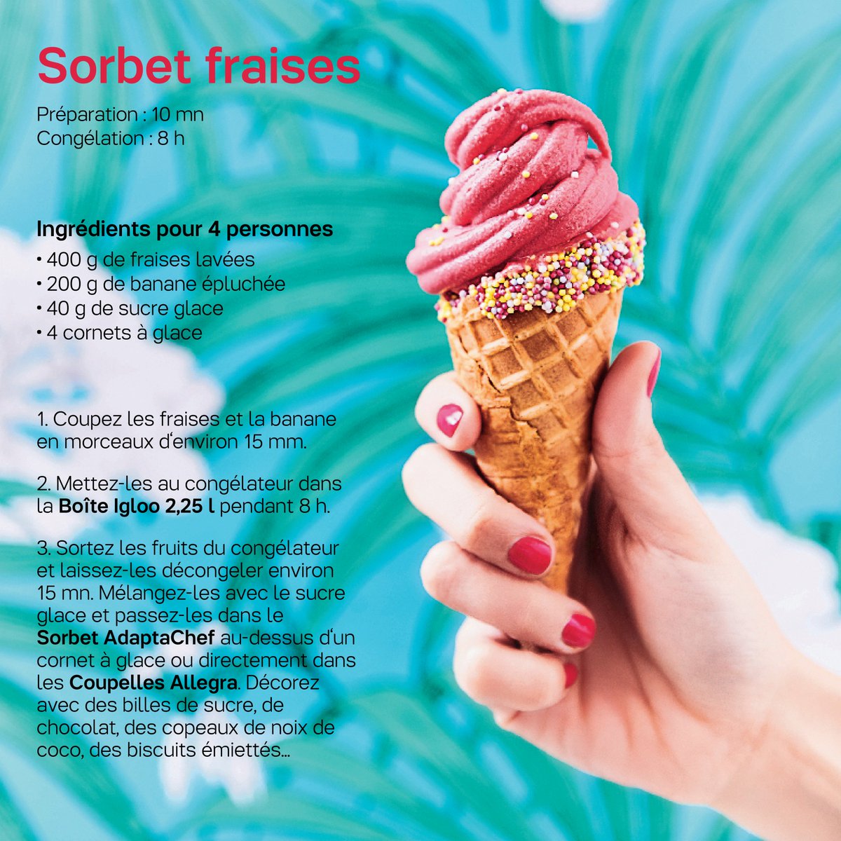 tupperware_fr's tweet photo. Découvrez la recette du #sorbet fraise avec le Sorbet AdaptaChef 😋🍦
Un grand classique idéal et rafraîchissant pour l'été ! https://t.co/pfj0gdyecD