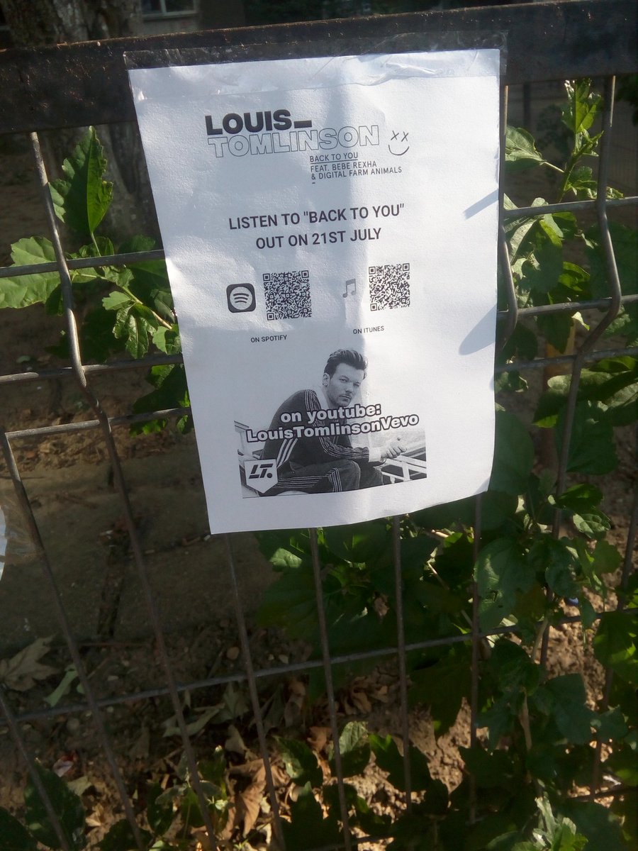 Niallismine6969's tweet photo. Directioners from Romania have promoted Back To You
@Louis_Tomlinson @BebeRexha @LouisPromoSquad 
#BackToYou https://t.co/myaYlES3mR