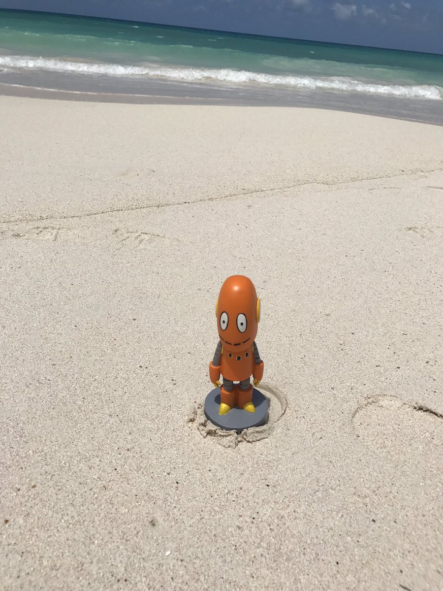 Kharima4's tweet photo. It's safe to say #moby enjoyed his vacation. #whereismoby https://t.co/Q1zyXCe0We