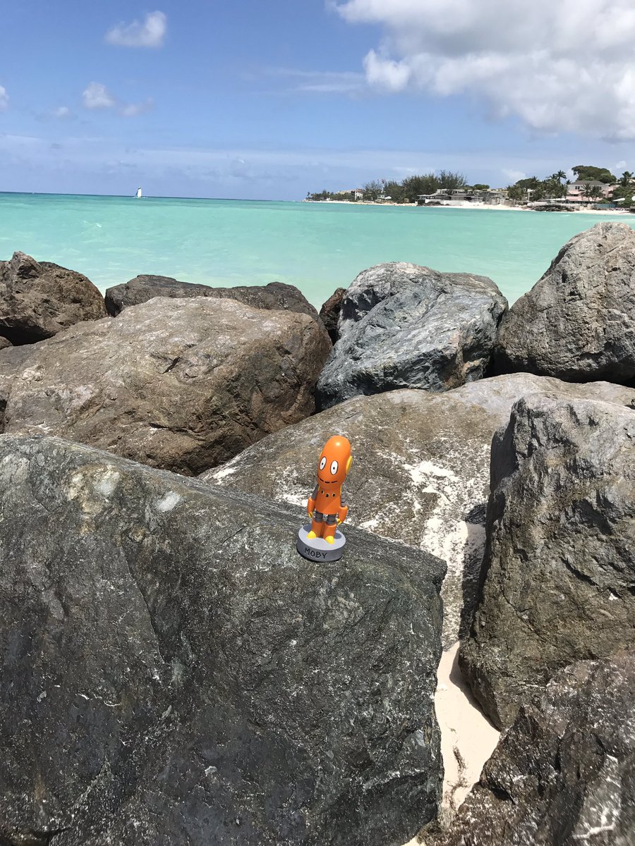 Kharima4's tweet photo. It's safe to say #moby enjoyed his vacation. #whereismoby https://t.co/Q1zyXCe0We