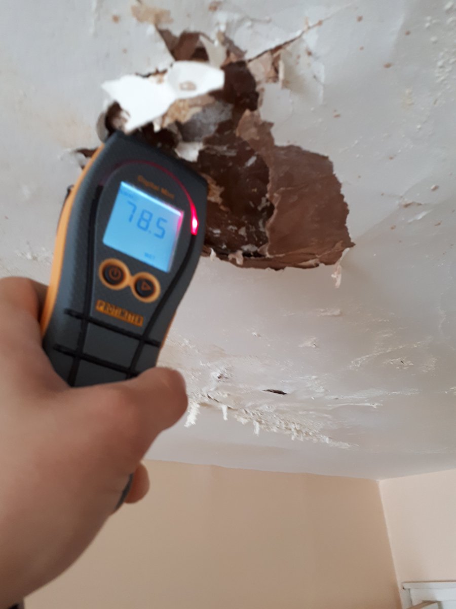 HDhelpline's tweet photo. Living room ceiling a little damp - HDH Solicitor on the case #housingdisrepair #housing #MoL #hrdclaims #badlandlord #London #protimeter https://t.co/gZbSatoE4L