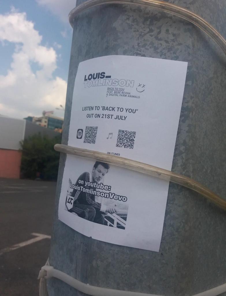 amideeamihai's tweet photo. Directioners from Romania have promoted BACK TO YOU
@Louis_Tomlinson 
@BebeRexha 
#LouisPromoSquad
#BackToYou https://t.co/VTDDPxorR4