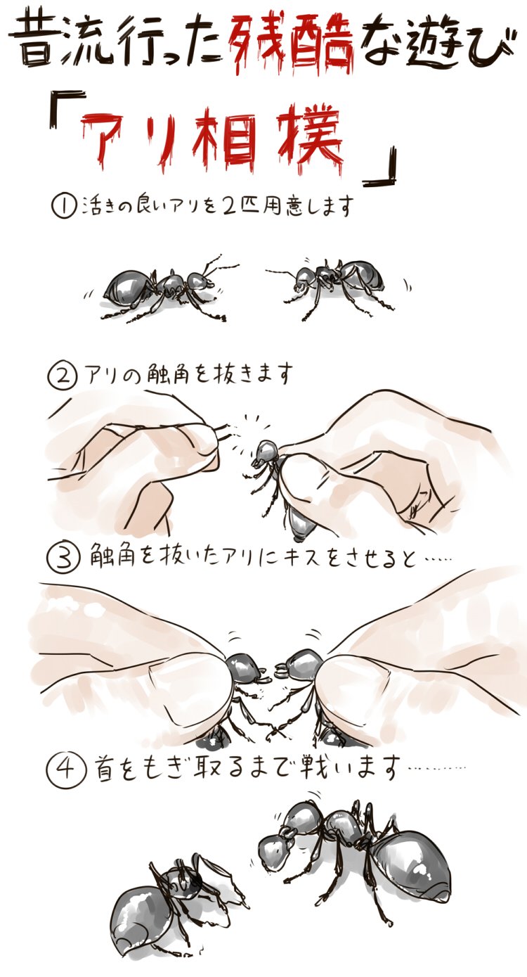 筋肉 太郎 グロ注意 この遊びご存じでしょうか