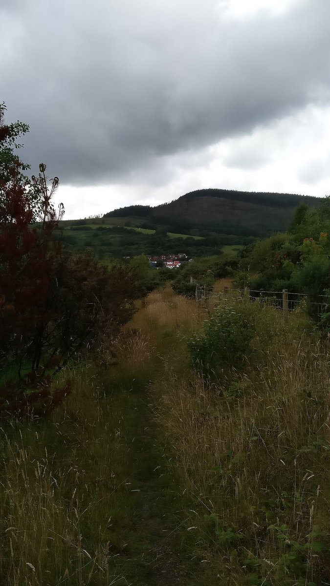 SwnColinJones's tweet photo. Puff..  wheeze... Second training run for Cardiff half done. https://t.co/CVx1C0ZzKy