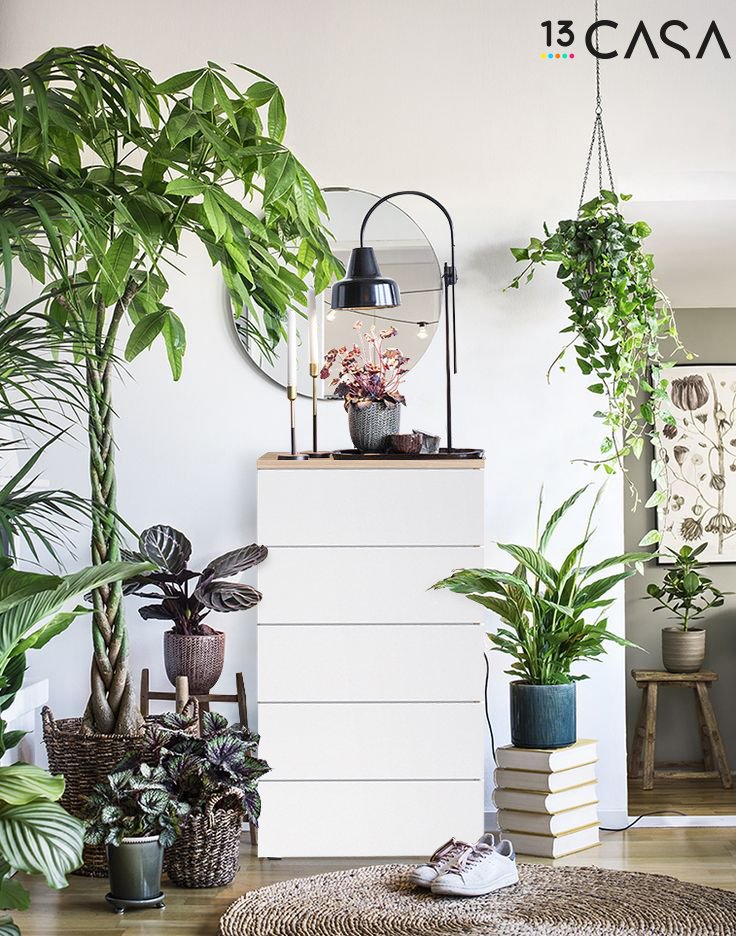 13casa_design's tweet photo. Funzionalità e praticità senza dimenticare lo stile: ecco 13casa!
Scopri di più su lovethesign >> https://t.co/m3wxuPiE7l https://t.co/4b7QRFuCwu