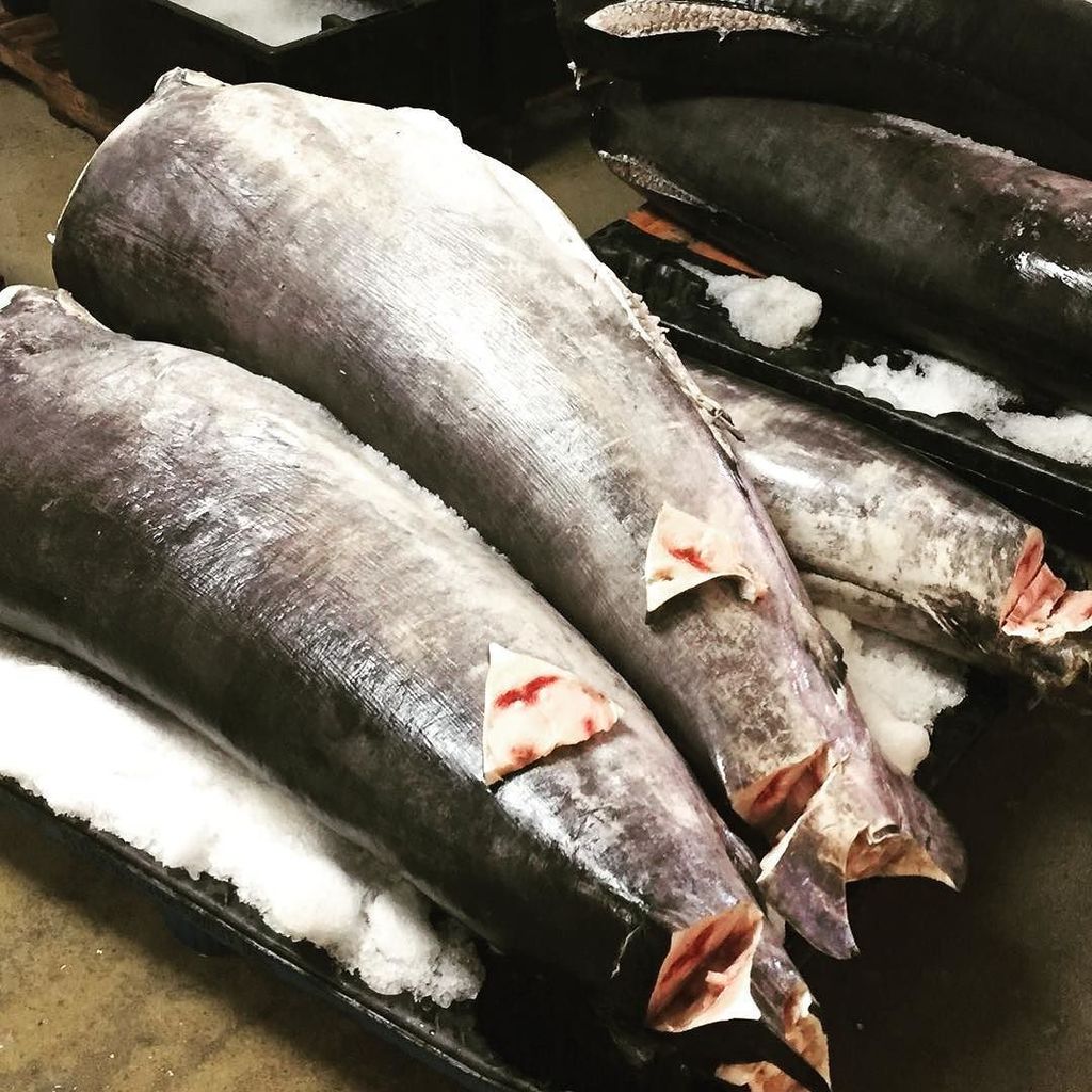 jetfreshchefs's tweet photo. Locally caught Block Island #swordfish just landed in Point Judith. Weekend special perhaps??
#jetfresh #sashimi #… https://t.co/YBzZIro0dk https://t.co/DOPln1uv23