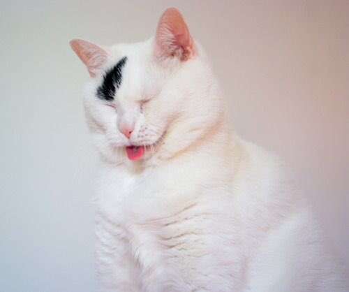 Sours Thursday. #yes