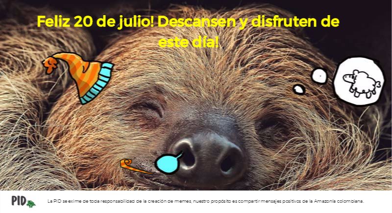 PIDamazonia's tweet photo. Feliz 20 de julio! Aprendamos hoy de las maravillosas selvas #amazonicas que tiene #colombia https://t.co/L8R57pdFE5