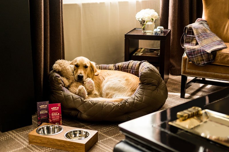 The <a href="/RosewoodLondon/">Rosewood London</a> launches a #dogfriendly hotel package in conjunction with #BarbourDogs: bit.ly/RosewoodCanine