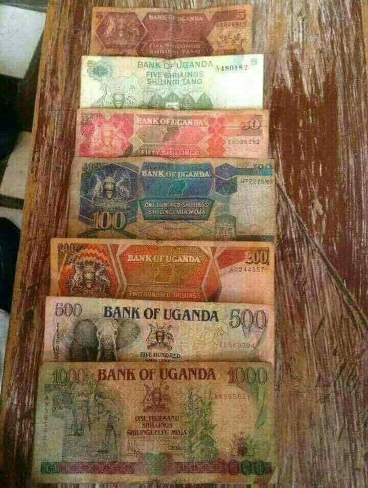 SenyoArzon's tweet photo. My country for the generations https://t.co/WF1YBPK6N5