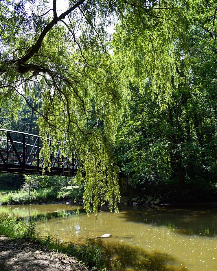 440Photography's tweet photo. #nature #outdoors #naturebeautiful #bridge #river #shadowtrees #cleveland #ohioexplored @clevemetroparks https://t.co/dQ46QWZwCE