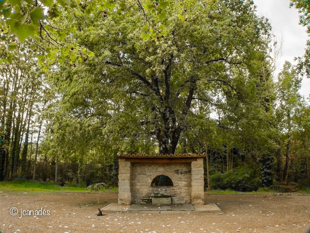 videosenderisme's tweet photo. #FontNova
https://t.co/lP51S1gQll @ajnavarcles #Calders @bagesturisme #senderisme https://t.co/JDupizfuyB