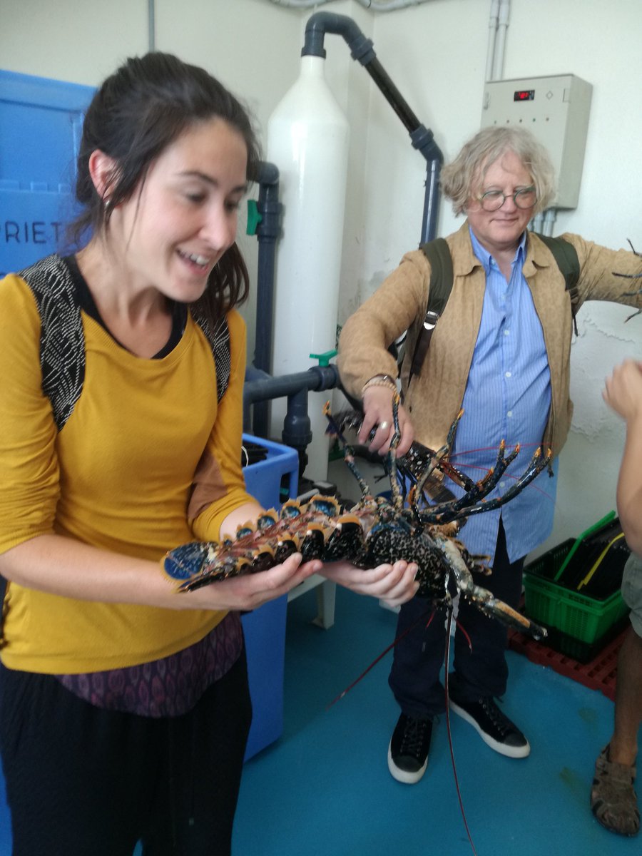 SebVillasante's tweet photo. Members of our @ICES_ASC #WGREMS  during the visit to know local species in Galicia @UniversidadeUSC @JavierGGaldo @GCalidade https://t.co/GM7g87fMOU