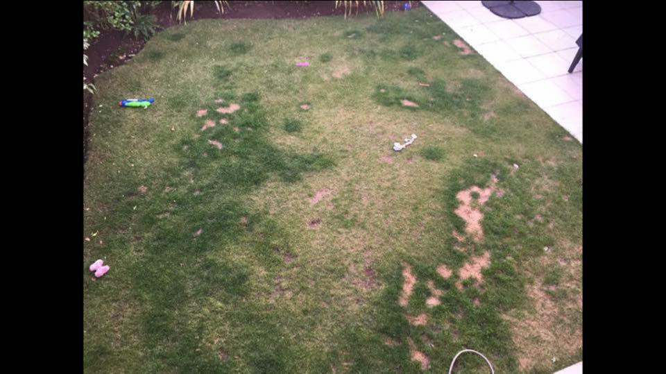 AGIgrass's tweet photo. #ThrowbackThursday to what one customer's lawn looked like before #FakeGrass, and after... #Torbay https://t.co/Z3uOouretm