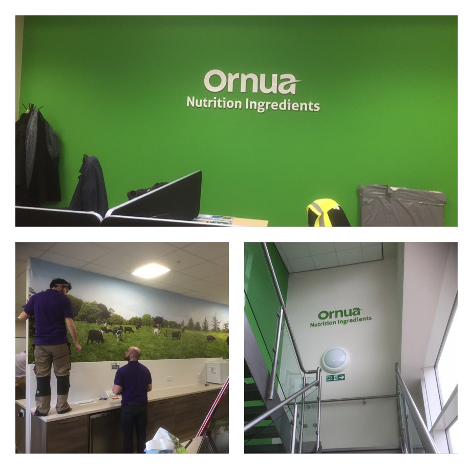 3Bdap's tweet photo. Another example of an office revamp! Get in touch to talk about yours 01354 653836!#3bdap #ThrowbackThursday https://t.co/v3ULbtlh44