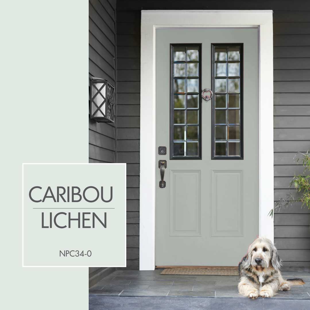 HomeHardwareSP's tweet image. Canada’s National Parks have provided inspiration for some amazing front door colours Which colour is your favourite bit.ly/2rICrCG