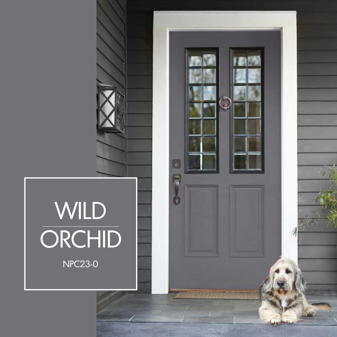 HomeHardwareSP's tweet image. Canada’s National Parks have provided inspiration for some amazing front door colours Which colour is your favourite bit.ly/2rICrCG