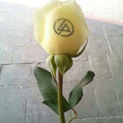 paigeit_R's tweet photo. Heartbroken by this! You, the band &amp; your songs mean so much to me! Who cares if one more light goes out, well I do! #RIPChesterBennington https://t.co/CRWh8xrZeZ