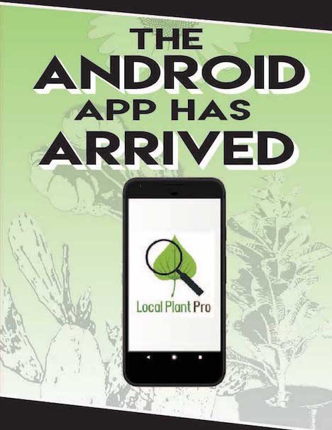 LocalPlantPro's tweet image. Our Android app is live! Download at google play store @McBloomin @HillermannNF @Plant4Seasons