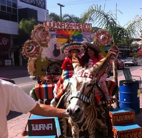 Ninurri's tweet photo. 3 años sin ir a mi segunda casa #Tijuana #LaRevu #QueCurado #AhíEmpiezaLaPatria https://t.co/haz48RSaRN