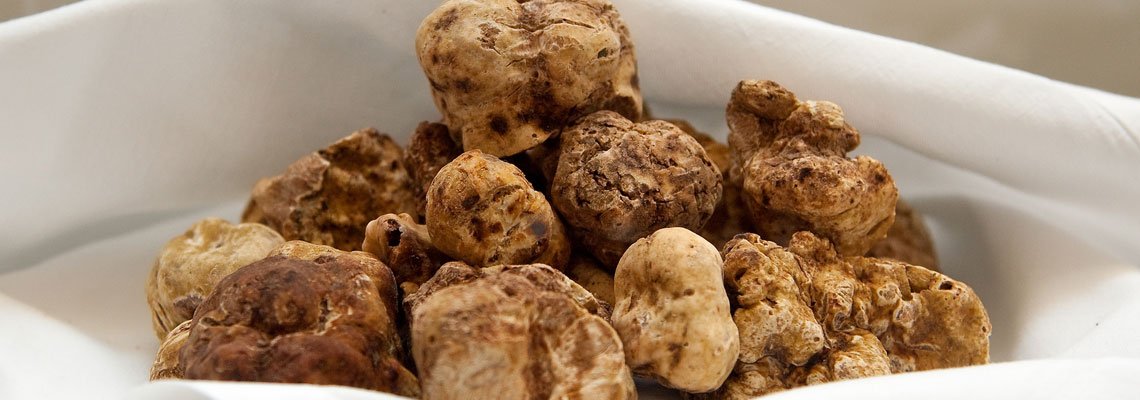 justescapetrvl's tweet photo. Are you wanting the ultimate #CulinaryEscape? Visit #Alba #Italy in October and November to check out the #whitetruffle auction! https://t.co/eQmYtOwU7T