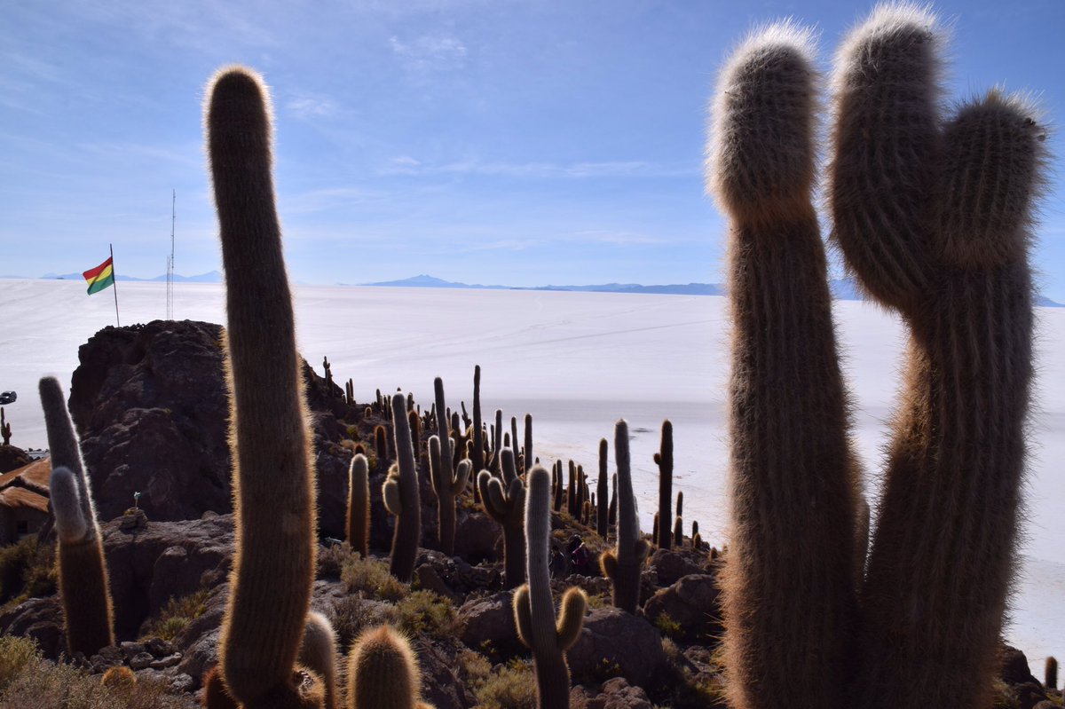 NHS BOLIVIA 2017 (@nhs_bolivia2017) on Twitter photo 