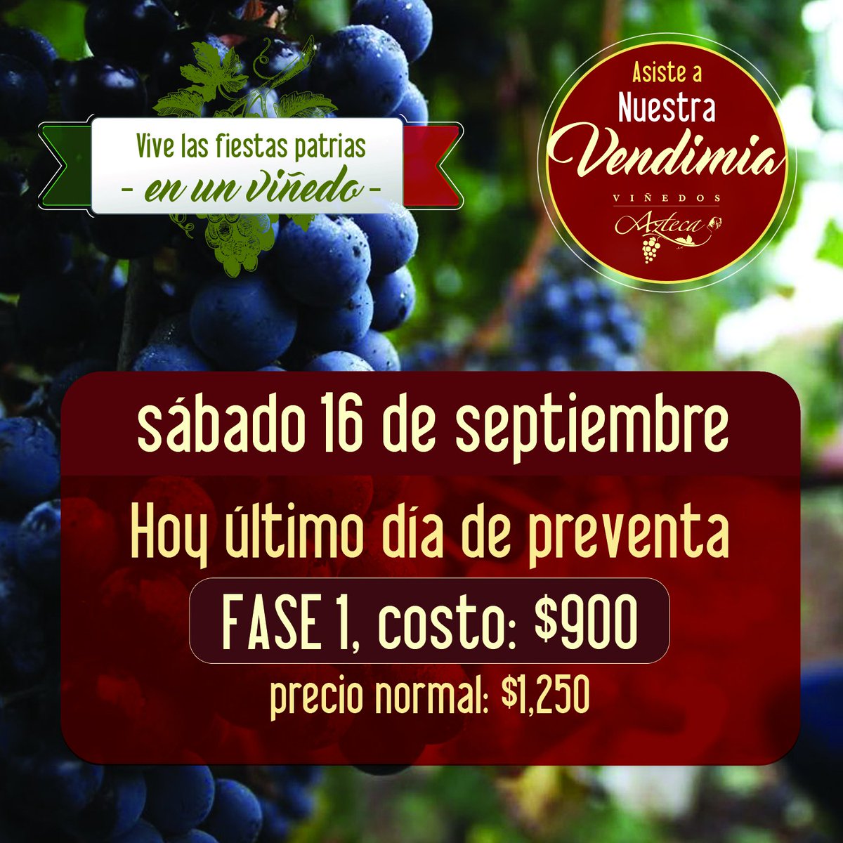 Nuestra Vendimia cada vez está más cerca, aprovechen hasta hoy la preventa Fase 1. #ViñedosAzteca. Reserva: goo.gl/Bmdfz3