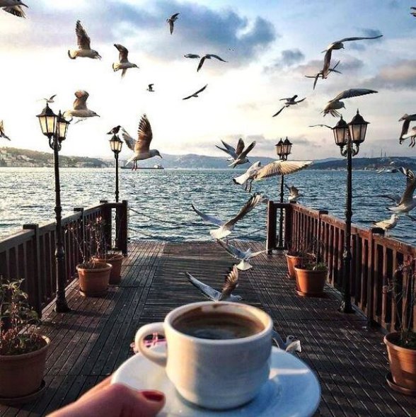 coffeedomru's tweet photo. А в воздухе так пахнет морским бризом кофе и счастьем!
#мореикофе #море #coffeedom #coffee #кофе #кофедом https://t.co/reMbzMqsqz