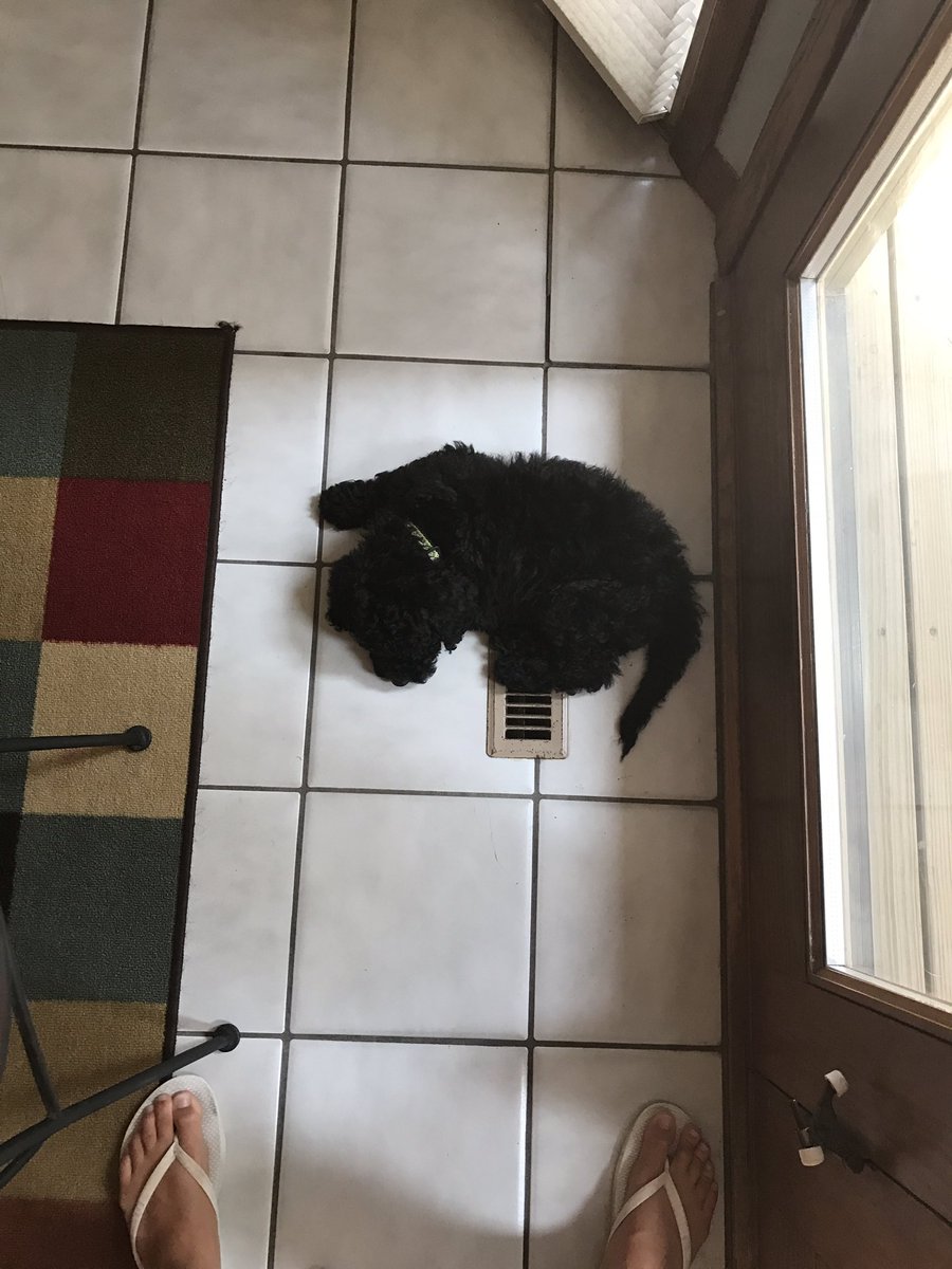 I'm going to come back for thanksgiving and she'll be twice this size.