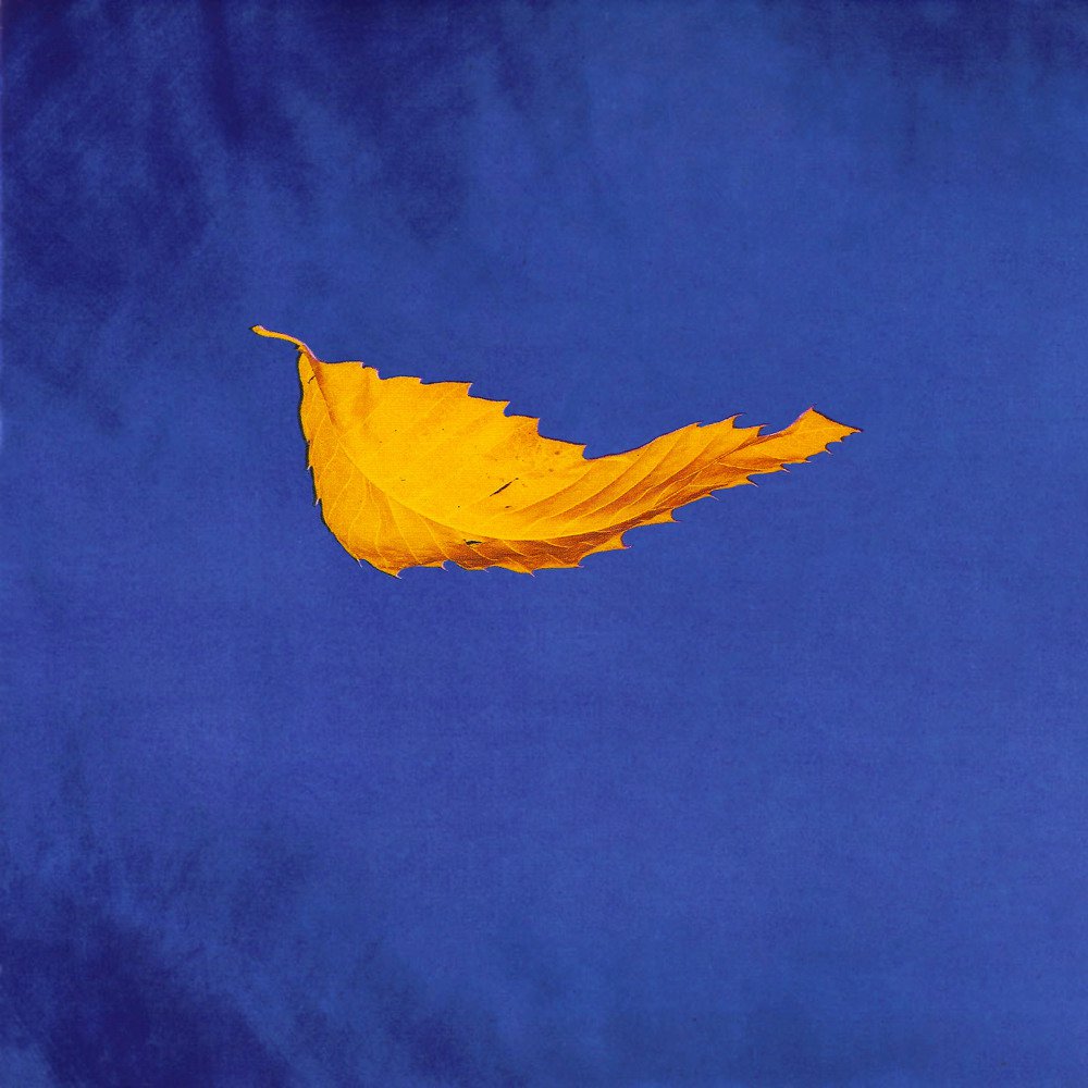 NME's tweet photo. #TrueFaith by @NewOrder is 30 years old today https://t.co/mbE2X6ETO3