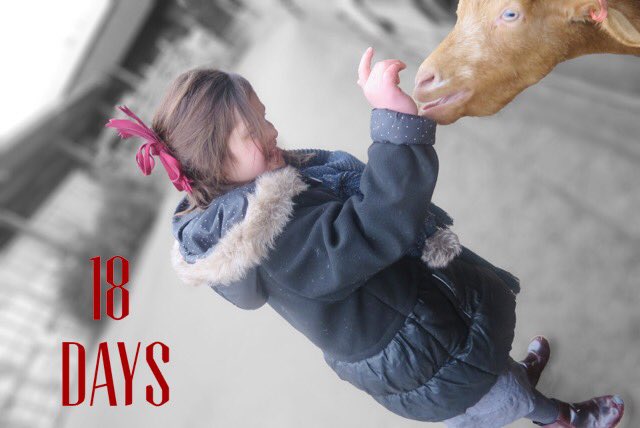 StepByStepGB's tweet photo. Chavi has #Downsyndrome and #Autistim, She gets frustrated easily when no 1 understands. #pettherapy helps #expressherself @StepByStepGB https://t.co/jyJ91gurcy