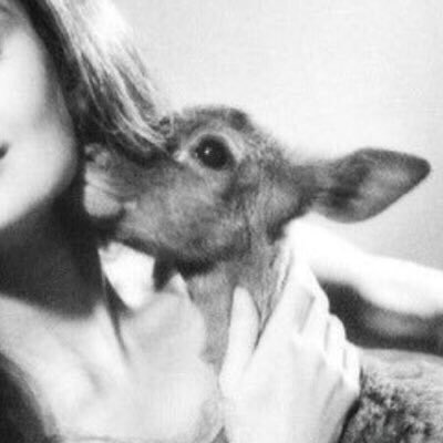 Ryan … tweet media