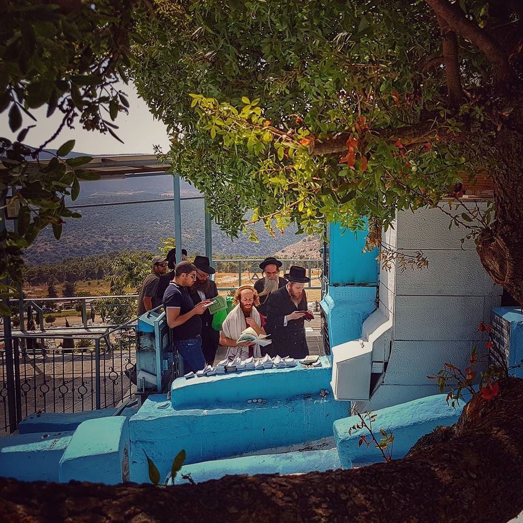 TourGuideAaron's tweet photo. Prayers today at the Tomb of the Holy Arizal. 😍😍😍😍😍😍😍
#tzfat #tzfas #zefat #safed #safet #kabbala #kaballah #ariza… https://t.co/SCeq0BZyW3 https://t.co/Hu8n73J6yG