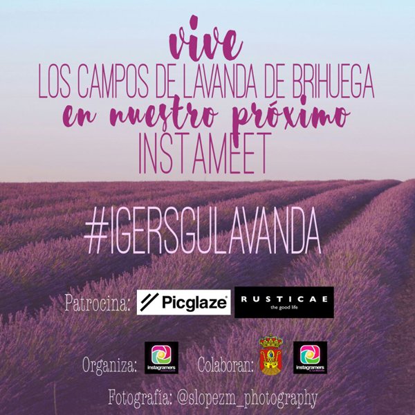 ¡<a href="/Picglaze/">Picglaze</a> premiará con 10 fotos en formato picBloc a las 10 mejores estampas de los campos de lavanda de Brihuega! instagramersclm.com/Ven-a-conocer-…