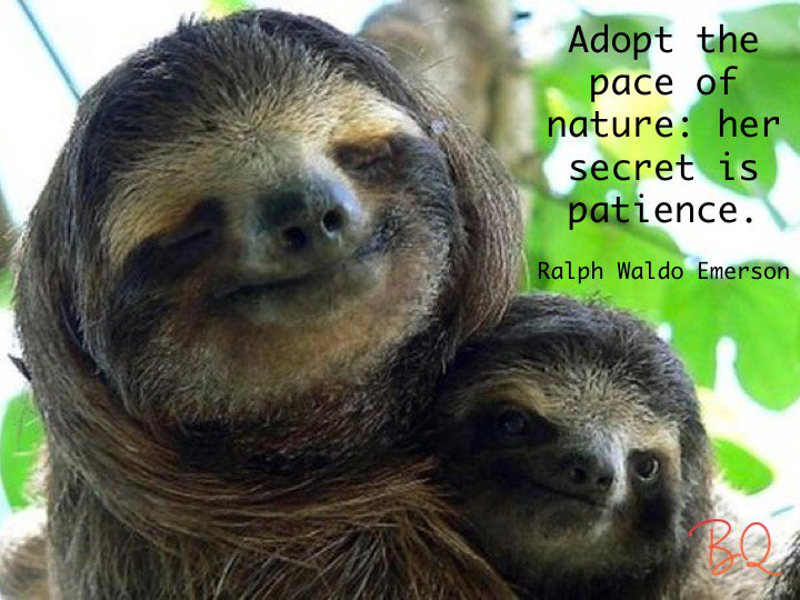 TheBQhub's tweet photo. https://t.co/zaoUwHeYGO #BQhub #BodyIntelligence #NoticingWithCuriosity #YourBodyIsYourVessel #ralphwaldoemerson https://t.co/BLxZDg6XMW