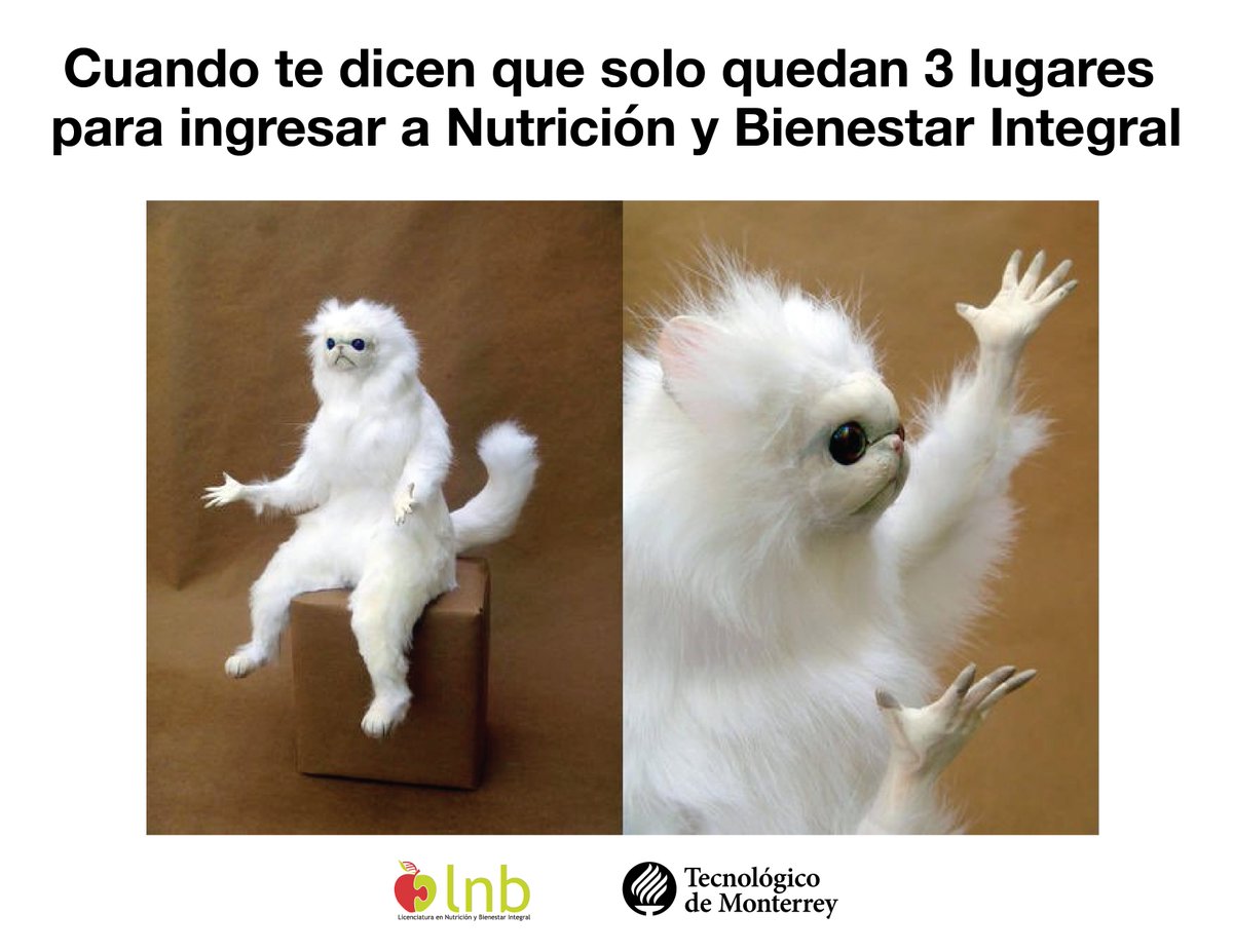 lnb_gdl's tweet photo. No te quedes fuera, aplica hoy mismo: https://t.co/LCqTqGLC0c https://t.co/KpaFSe6zcs