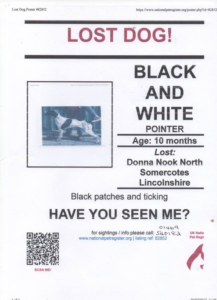 Kent Dog Behaviour Training (thedogtrainers) Twitter